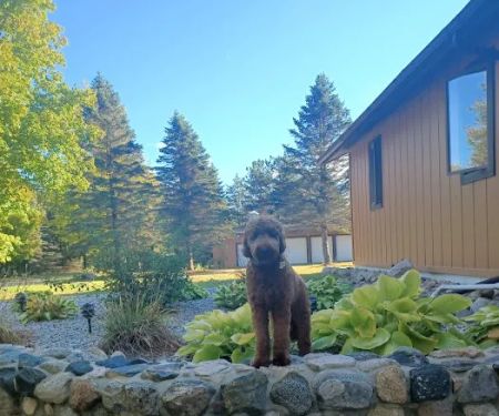 Animal Wellness Center of White Cloud