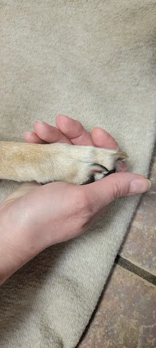 Fremont Animal Hospital Picture 7