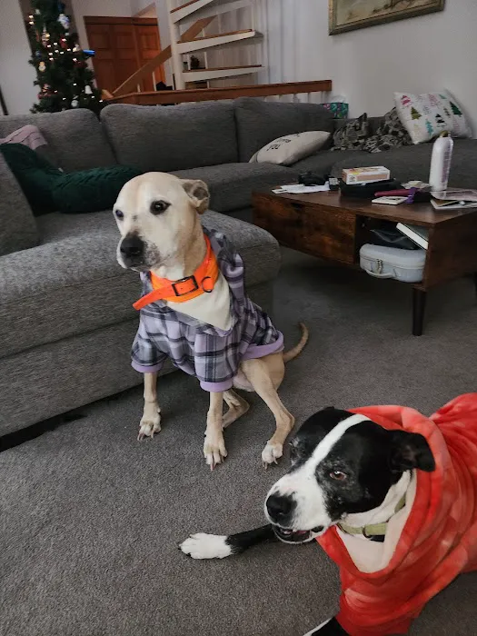 Fremont Animal Hospital Picture 5