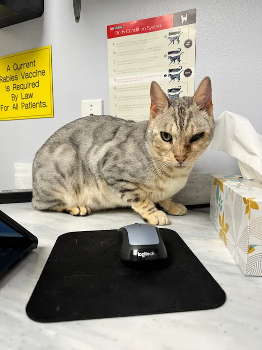 Loving Care Animal Clinic Picture 1