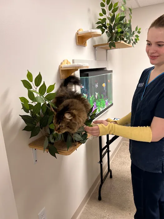 Loving Care Animal Clinic Picture 4