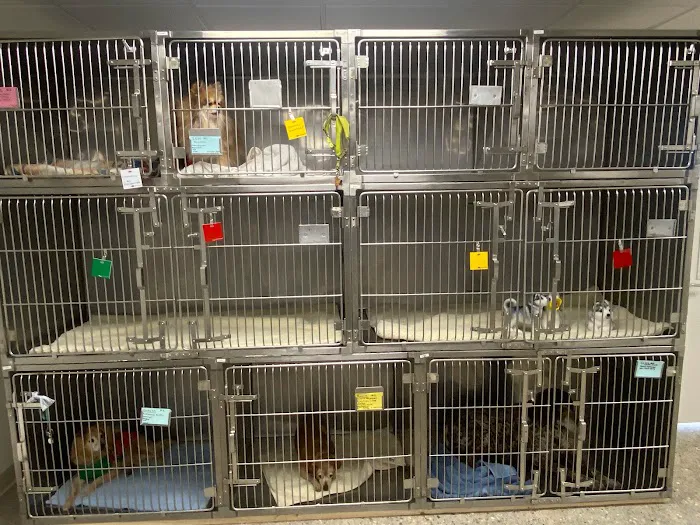 Loving Care Animal Clinic Picture 6