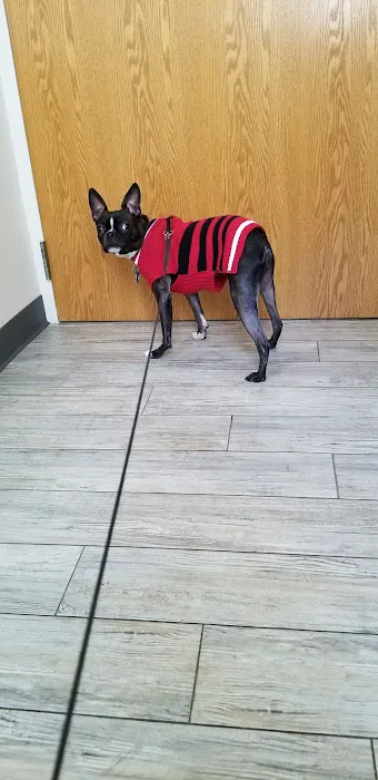 Riversbend Animal Hospital Picture 5