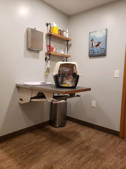 19 Mile Veterinary Hospital Picture 6