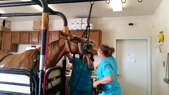 Country Veterinary Service Picture 2