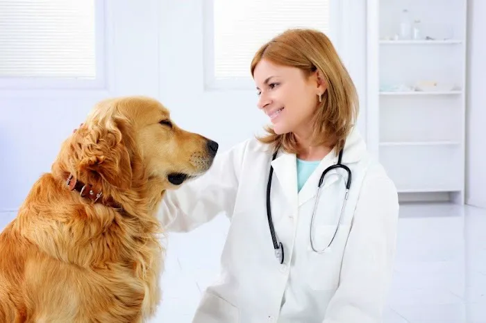 Midland Animal Clinic Picture 4