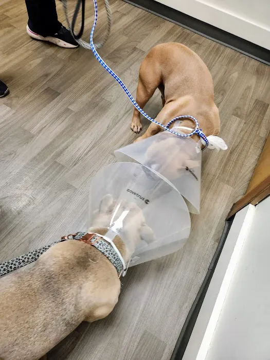Midland Animal Clinic Picture 3
