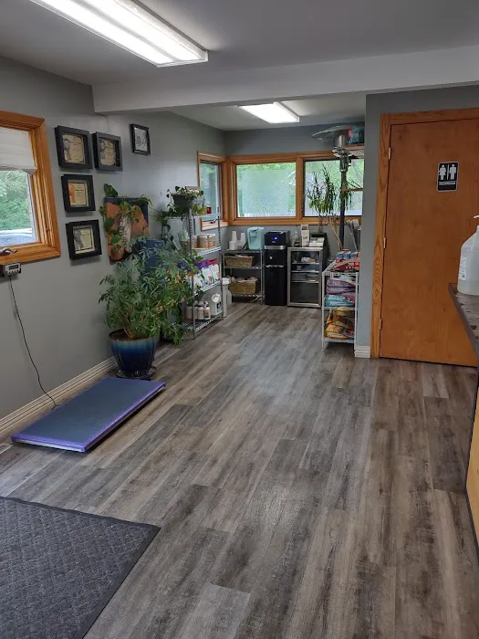 River Rock Animal Hospital Picture 8