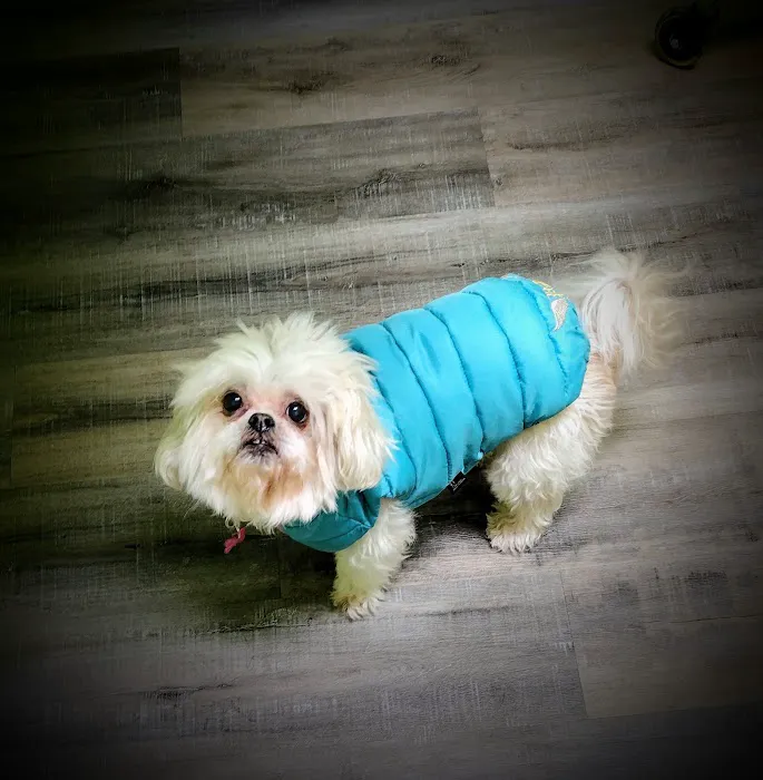 River Rock Animal Hospital Picture 10