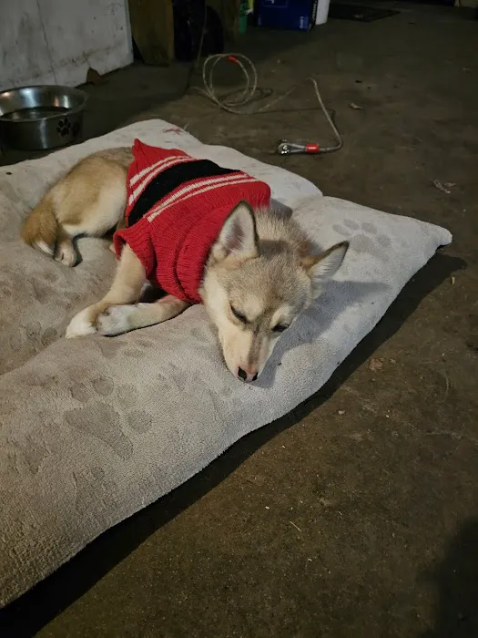 VetMED Veterinary Clinic Picture 8