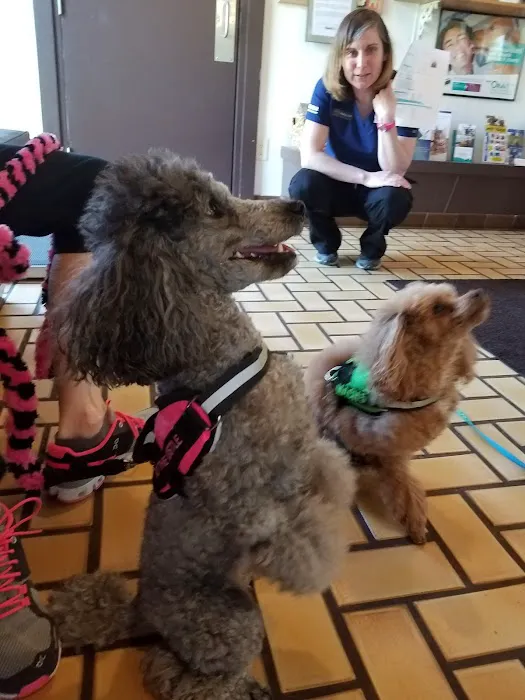 Northern Animal Clinic Picture 2