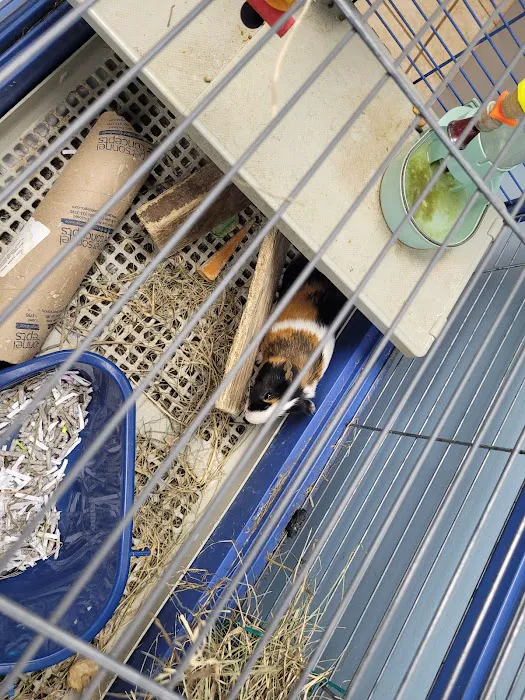 Eastman Animal Hospital Picture 8