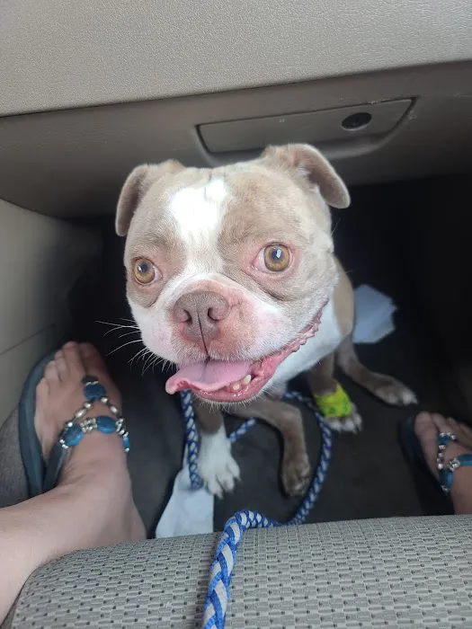 Animal Medical Center Picture 8