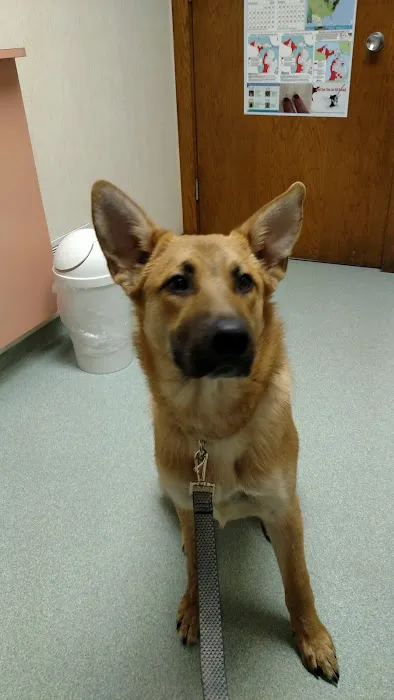 Valley Animal Clinic Picture 6
