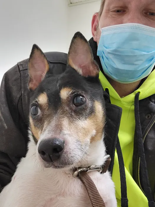 Valley Animal Clinic Picture 4