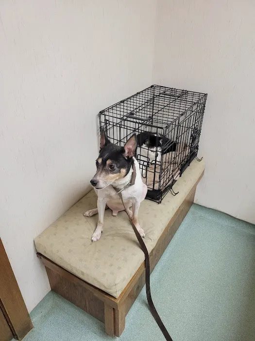 Valley Animal Clinic Picture 7