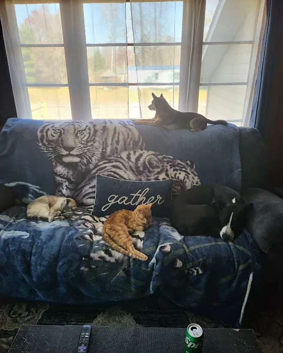 Surrey Veterinary Clinic Picture 4