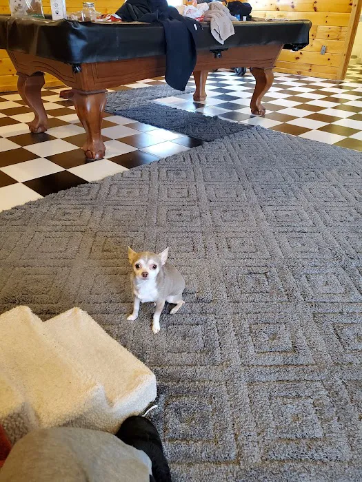 Gladwin Veterinary Clinic Picture 8