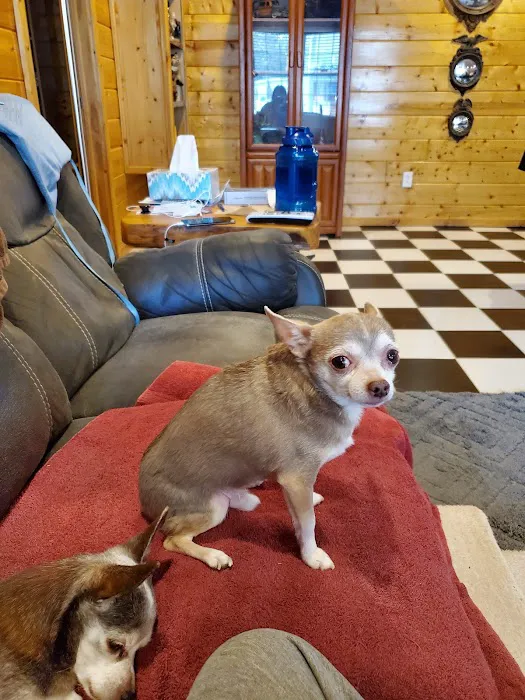 Gladwin Veterinary Clinic Picture 7