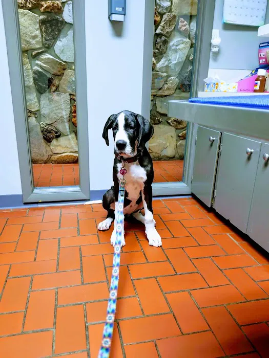 Wyoming Animal Hospital Picture 1