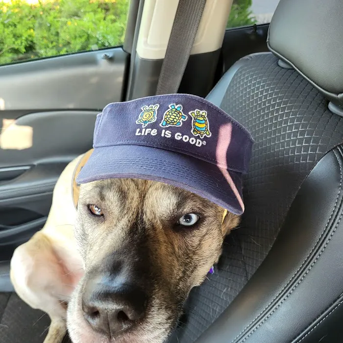 Wyoming Animal Hospital Picture 6