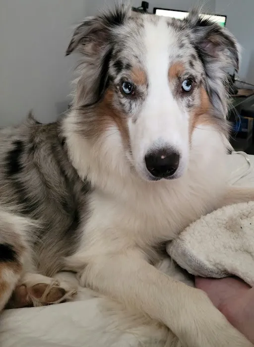Wyoming Animal Hospital Picture 5