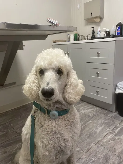 Pet Veterinary Clinic PC Picture 1
