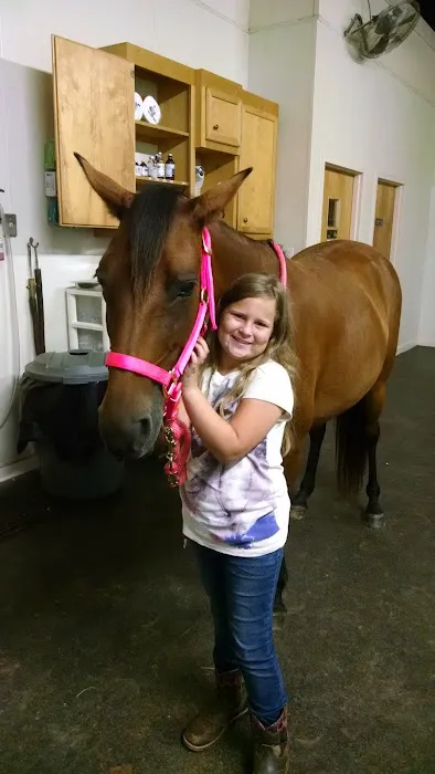 Southern Equine Service - Jamie Carter DVM Picture 2