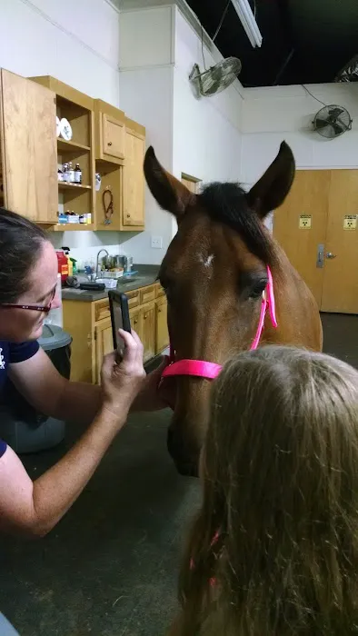 Southern Equine Service - Jamie Carter DVM Picture 1