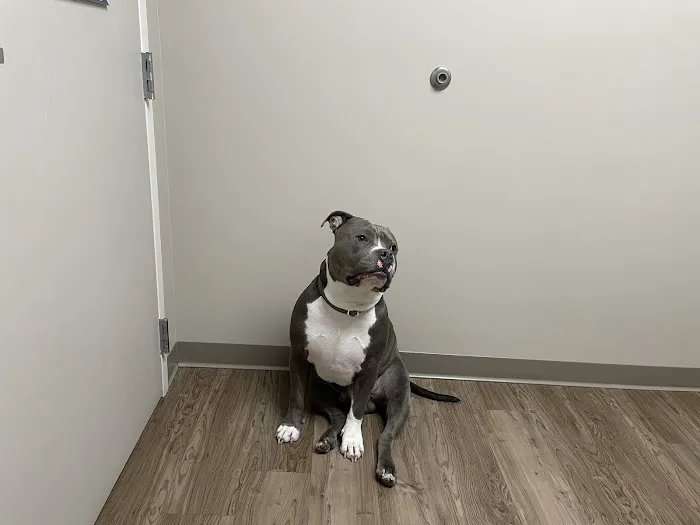 Hitchcock Animal Hospital Picture 2