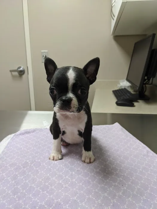 Hitchcock Animal Hospital Picture 10