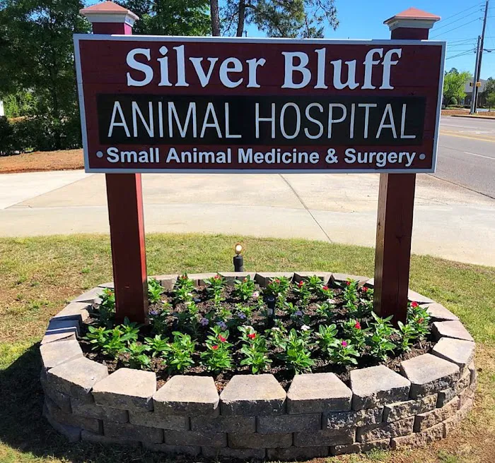 Silver Bluff Animal Hospital Picture 9