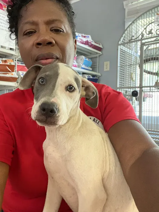 Ark Animal Hospital Picture 3