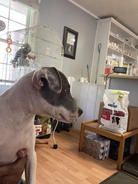 Ark Animal Hospital Picture 4