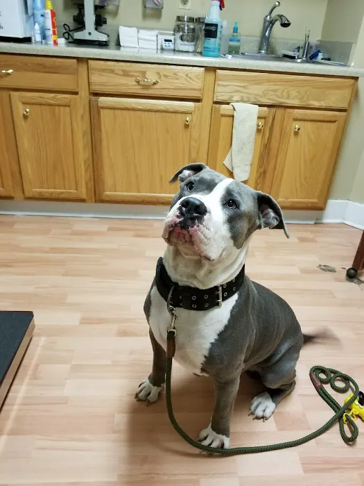 Ark Animal Hospital Picture 8