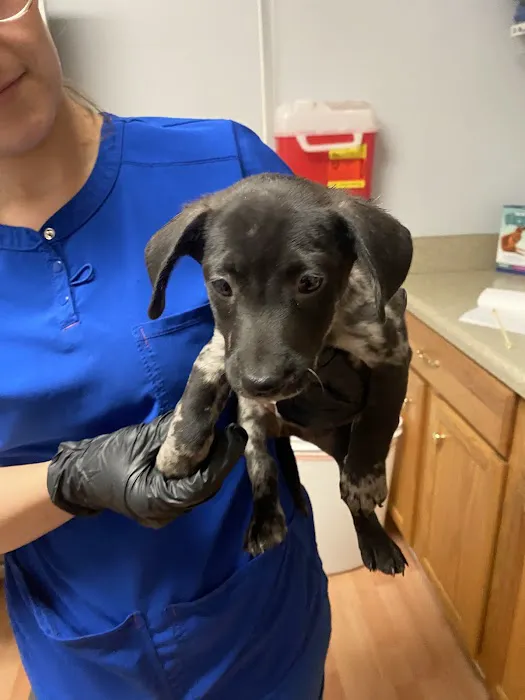 Ark Animal Hospital Picture 7
