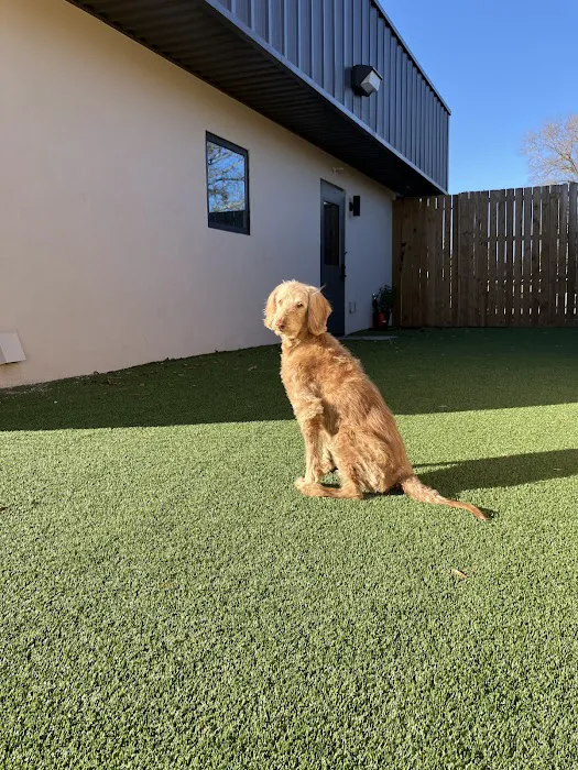 Best Friends Animal Care Picture 5