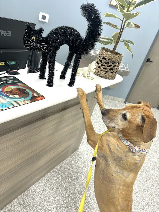 Best Friends Animal Care Picture 7