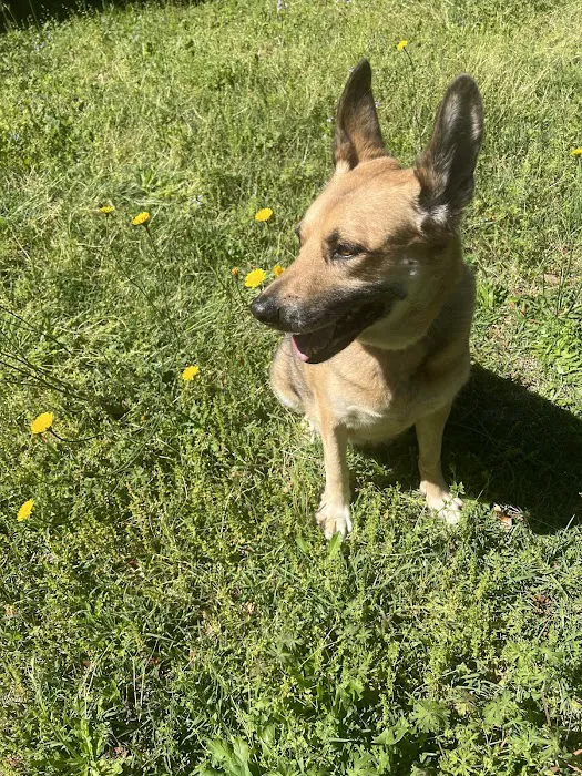 Best Friends Animal Care Picture 9