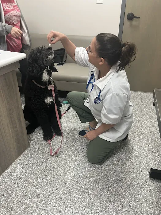 Best Friends Animal Care Picture 10