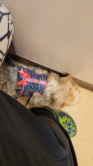 All God's Creatures Veterinary Hospital Picture 2