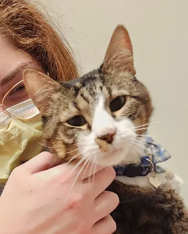 All God's Creatures Veterinary Hospital Picture 3