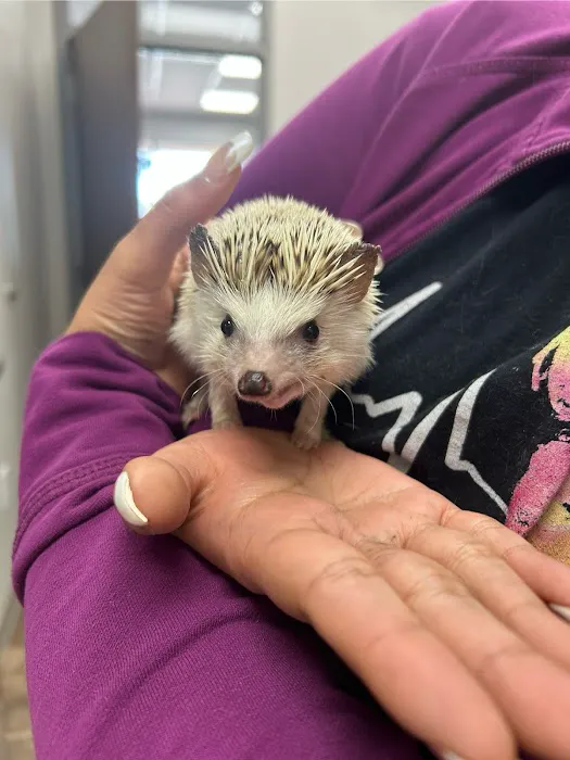 All God's Creatures Veterinary Hospital Picture 1