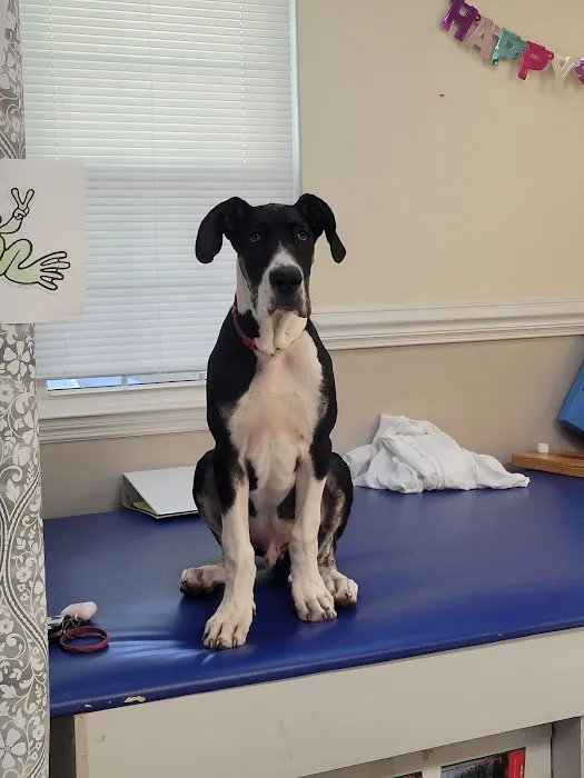All God's Creatures Veterinary Hospital Picture 7