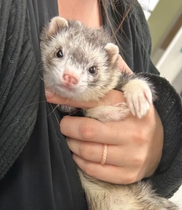 All God's Creatures Veterinary Hospital Picture 9