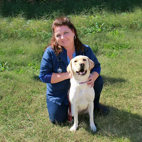 Walton Way Veterinary Clinic Picture 5