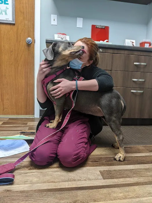 Westside Animal Hospital Picture 2