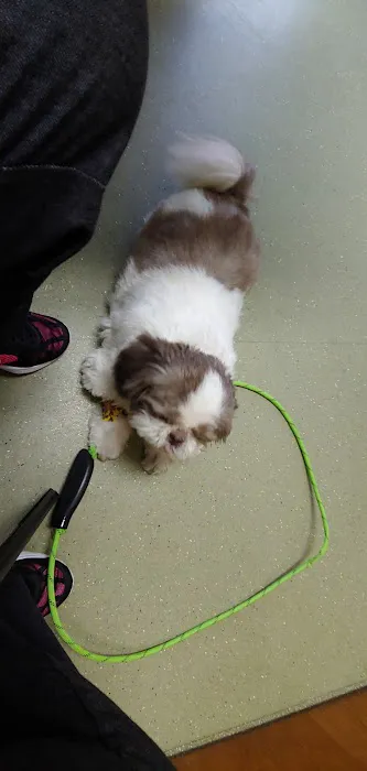 Westside Animal Hospital Picture 4