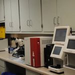 Evans Animal Hospital