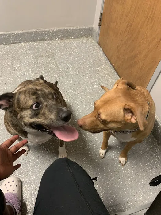 Evans Animal Hospital Picture 5